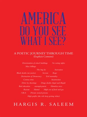 cover image of America Do You See What I See?